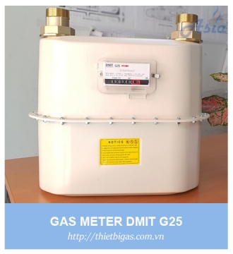ĐỒNG HỒ LƯU LƯỢNG GAS G25 DAEMYOUNG DMIT