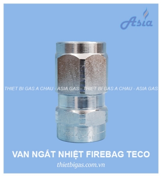 VAN NGẮT NHIỆT FIREBAG TECO