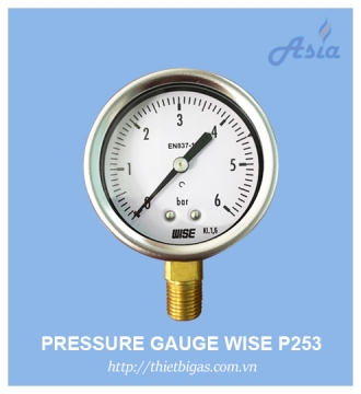 ĐỒNG HỒ ĐO ÁP SUẤT GAS P253 WISE
