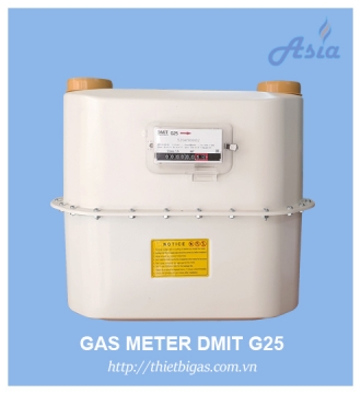 ĐỒNG HỒ LƯU LƯỢNG GAS G25 DAEMYOUNG DMIT