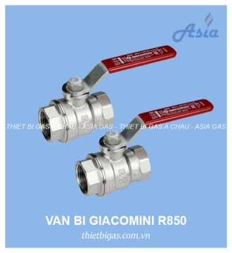 VAN BI GIACOMINI R850